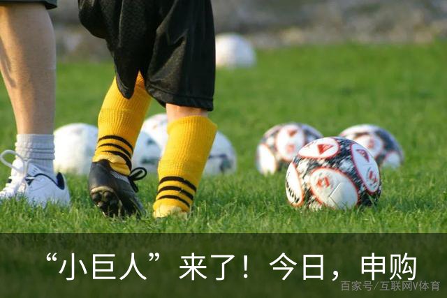 “小巨人”来了！今日，申购
