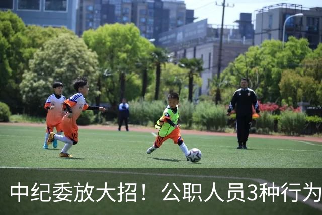 中纪委放大招！公职人员3种行为，一经查实严肃处理！