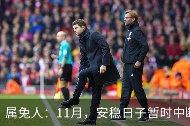 属兔人：11月，安稳日子暂时中断，大戏要开场