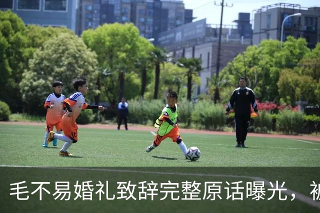 毛不易婚礼致辞完整原话曝光，被剪掉的半句话才是重点
