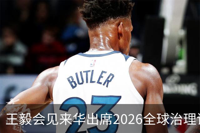 王毅会见来华出席2026全球治理论坛（雄安）的客人