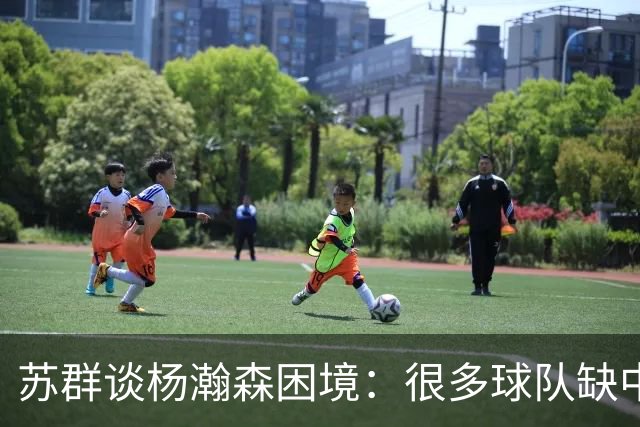 苏群谈杨瀚森困境：很多球队缺中锋 但缺的不是备胎而是实战轮换