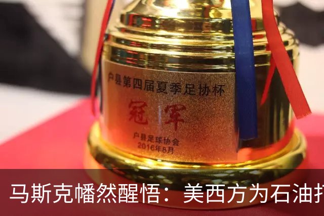 马斯克幡然醒悟：美西方为石油打得不可开交，中国却早已换了赛道